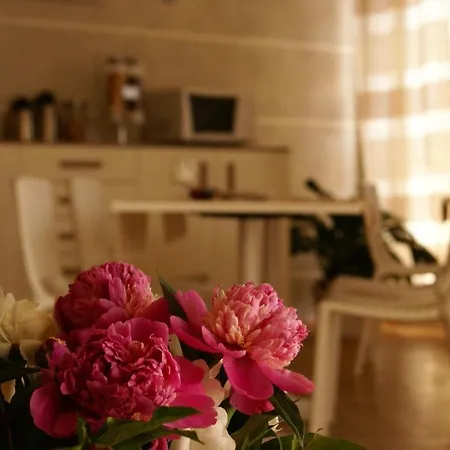 Lux * Alassio
